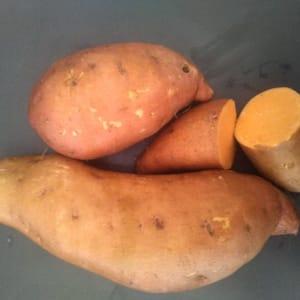 Patate douce orange