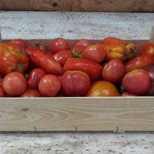 Caisse de 5kg de tomates abimées pour coulis