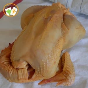 Poulet Fermier