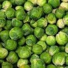 Chou de bruxelles