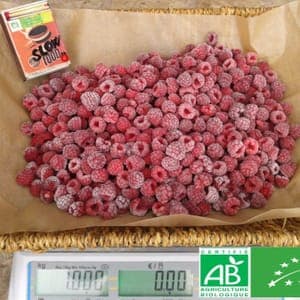 Framboises surgelées BIO