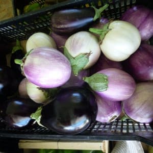 Aubergines
