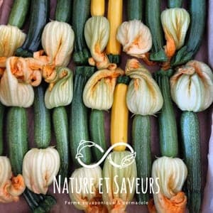 Mini Courgettes Gastronomiques