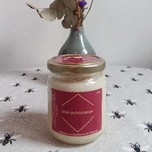 Miel de printemps - 250g