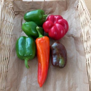 Poivrons en mélange  500g
