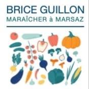 Logo de BRICE GUILLON AU CIRCUIT COURT DES COLLINES