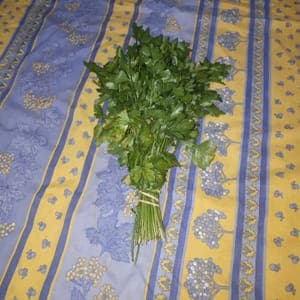 Persil plat
