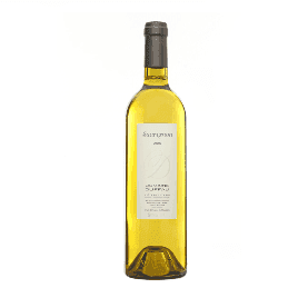 Sauvignon 2024