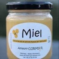 Miel de Printemps