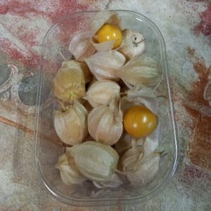 Physalis 100g