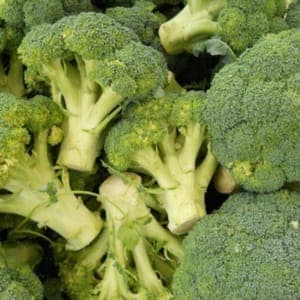 Chou brocoli