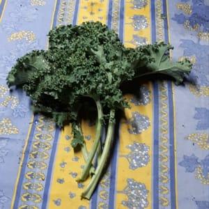 Chou kale (voir fiche recette dans "documents"