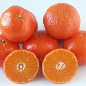 Mandarine Clemenules