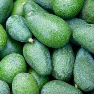 Avocats