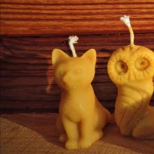 bougie chat, nounours, ruche...