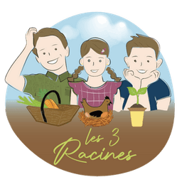 Les 3 racines #8