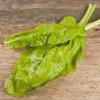 Blette à couper
