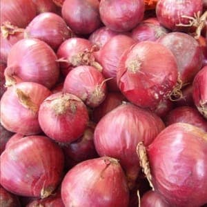 Oignon rouge