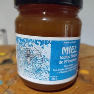 Miel printemps 250g