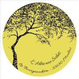 L'arbre aux sorbets #4