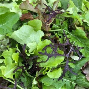 mesclun