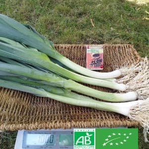 Poireaux BIO avec feuilles - 1Kg