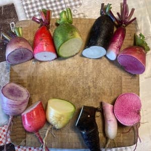 Assortiment de radis raves colorés