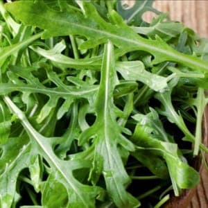 Roquette
