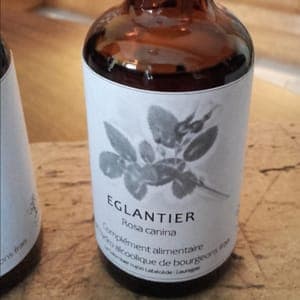 Extrait de bourgeons d'Eglantier Rosa canina 50 ml