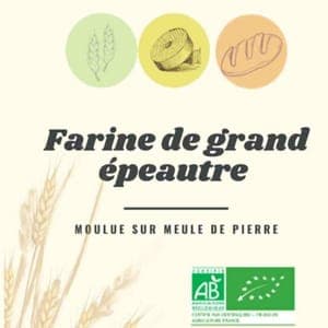 Farine Gd Epeautre