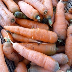 Carottes 500g 