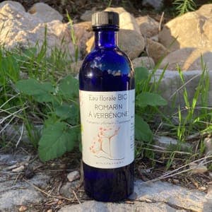 Eau florale de romarin à verbenone