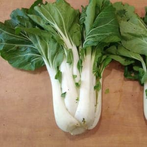 CHOU PAK CHOI