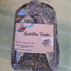 Lentilles vertes 500g