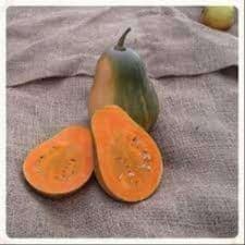 Courge