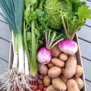 Panier potage