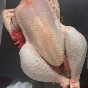 poulet fermier