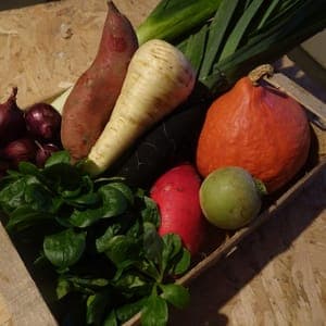 Panier composé du Jardin (cliquez pour voir la composition)