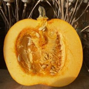 Citrouille Jack O Lantern