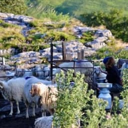 La Ferme du Brouquets  #1