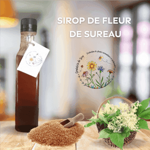 Sirop à la fleur de sureau