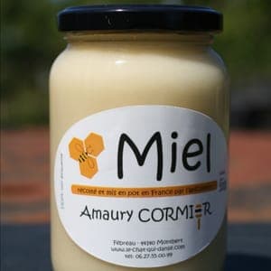 Miel de Printemps