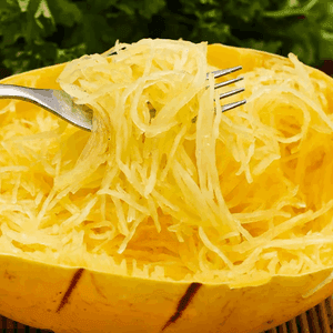 Plant de légume - COURGE Spaghetti