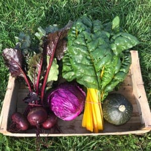 Le panier de la semaine