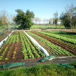 La Ferme Intention #7