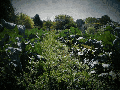 Les Jardins de la Rainette