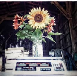 Gaec Ferme de Flouquet #2