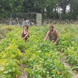 La ferme du bois du Nevet #4