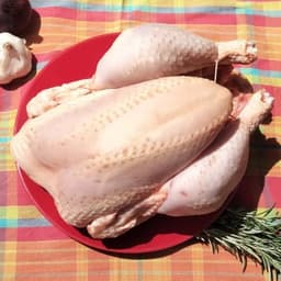 Logo de Roule Poulette au Jardin des Puys (Pouzauges)