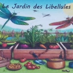 Le jardin des Libellules #0